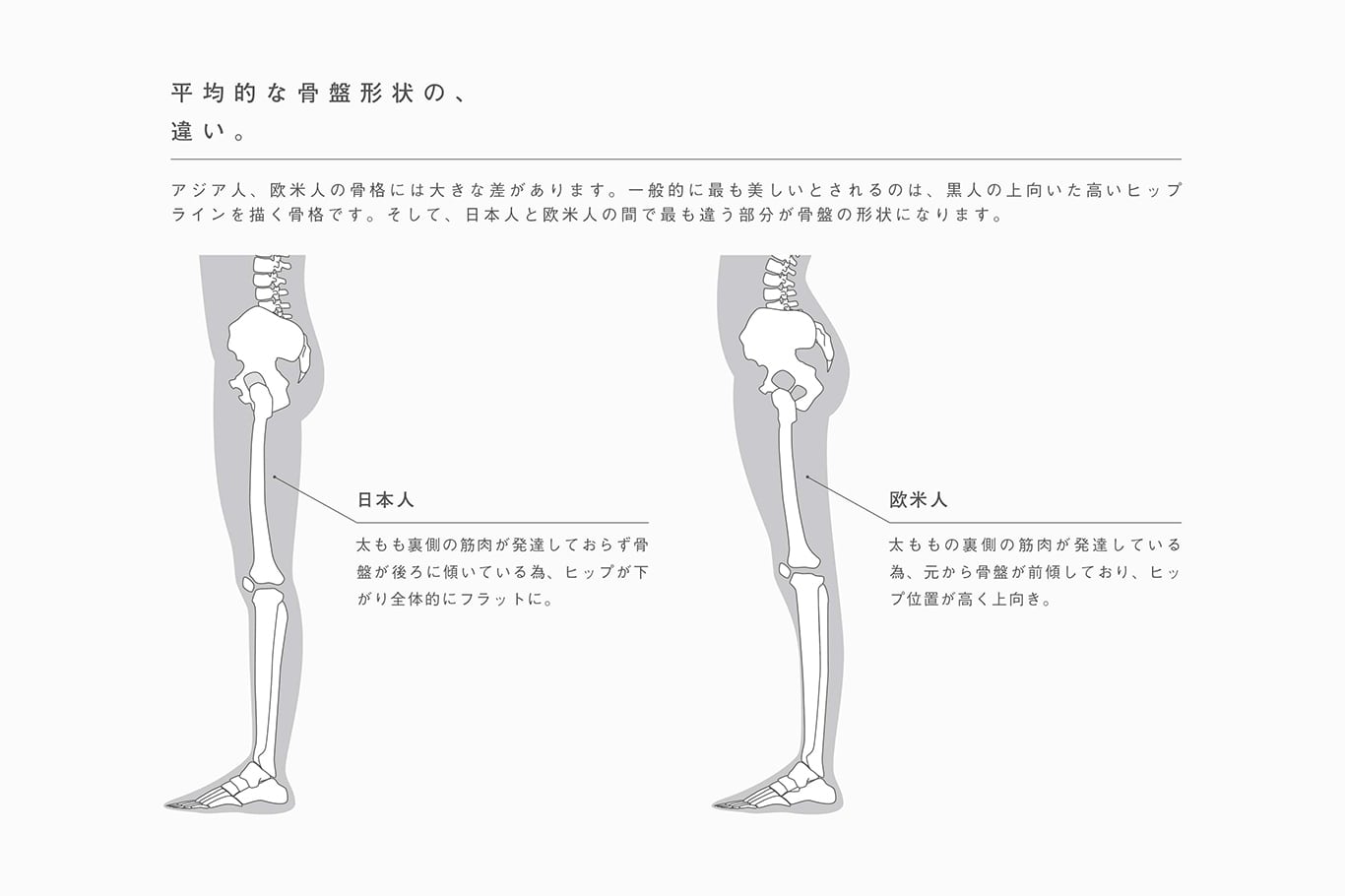 バトックス・ブラ3